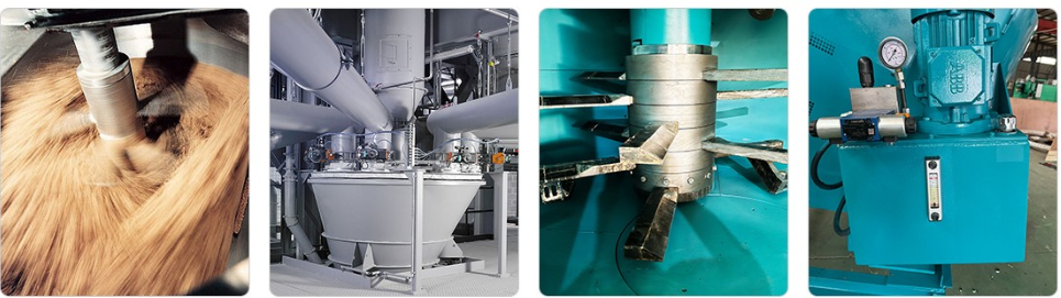 1772507508629360.png 1772507508629360.png